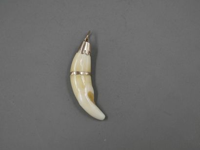 null Pendant in 9k yellow gold supporting an animal tooth - PB: 3,60gr - Length ...