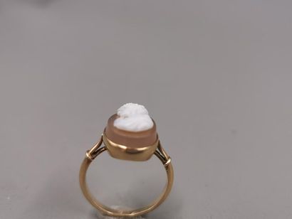 null Bague en or jaune 18k surmontée d'un camée coquille profil de femme - PB : 3,4gr...