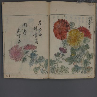 null JAPON, XIXème siècle. Lot comprenant six livrets reliés contenant des estampes...
