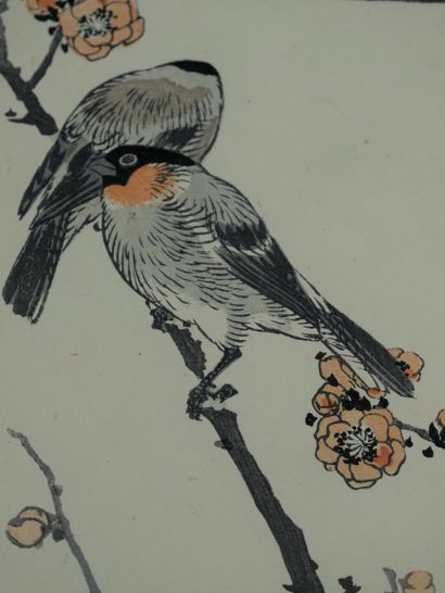 null JAPON, Kōno Bairei (1844-1895) . Deux estampes issues de l'album des cent oiseaux...