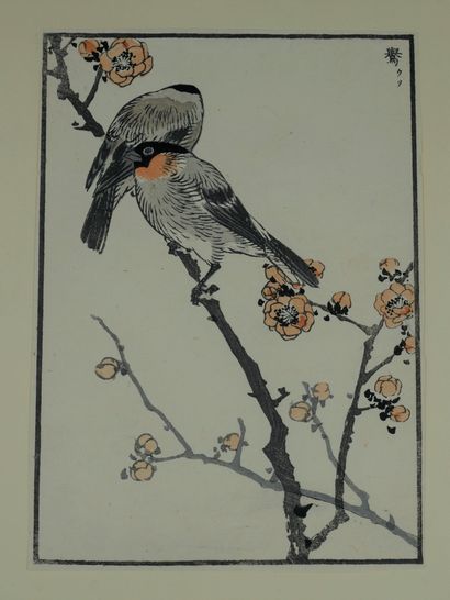 null JAPON, Kōno Bairei (1844-1895) . Deux estampes issues de l'album des cent oiseaux...