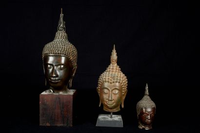 null Thaïlande, XXème siècle. Trois têtes de Bouddha en bronze de différentes patines....