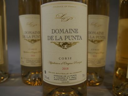 null 1 box of 6 Btles - Domaine de la Punta 2018 Corsican rosé at 35/6 Btles instead...