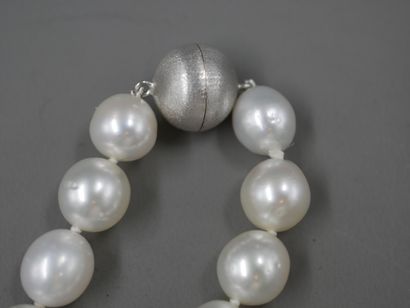 null Collier de perles de culture en chute de 8 à 11mm - Bel Orient blanc nacré -...