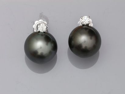 null Pair of 18k white gold earrings with 15mm Tahitian pearls topped with a brilliant...