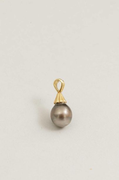 Tahitian pearl pendant - 18k yellow gold...