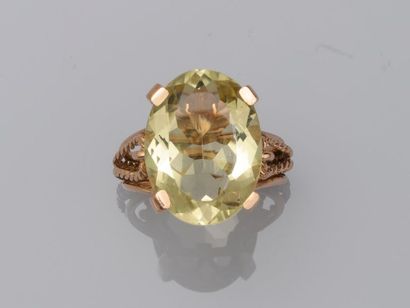 Ring in 18k yellow gold with ribbons and...