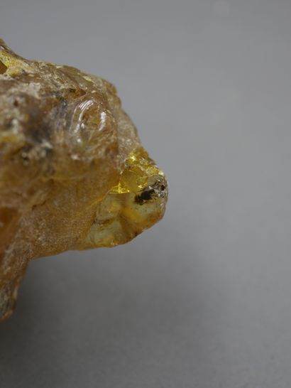 null Grand bloc d’ambre jeune (copal) à insectes. Colombie. Environ -1 million d’années.

l...