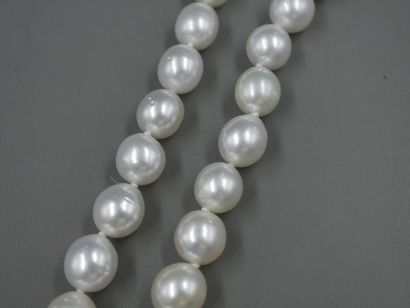 null Collier de perles de culture en chute de 8 à 11mm - Bel Orient blanc nacré -...