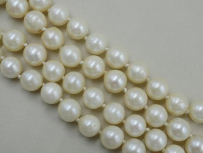 null Necklace of choker cultured pearls - Quadrangular clasp in 18k yellow gold decorated...