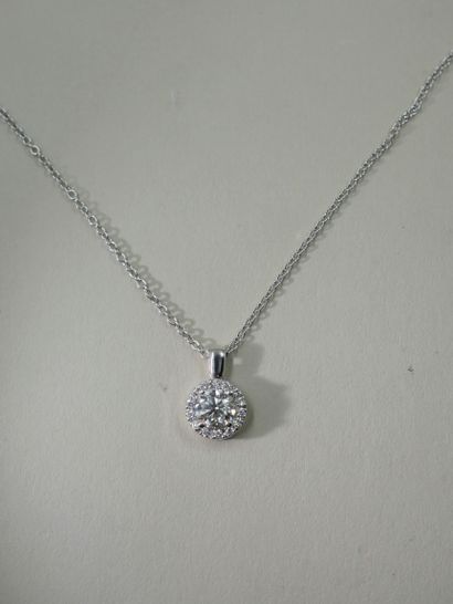 Necklace in 18k white gold holding in pendant...