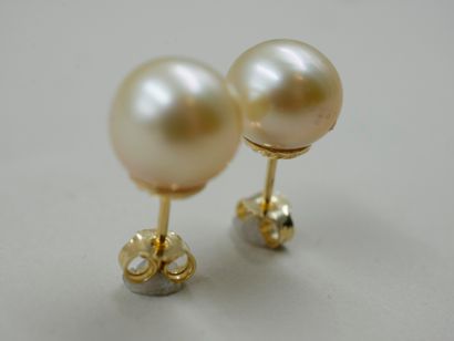 null ¨Paire de boutons d'oreilles en or jaune 18k ornés de perles de cultures Gold...