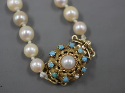 null Necklace of cultured pearls in fall - Circular clasp in 18k yellow gold set...