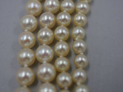 null Long long necklace of Japanese cultured pearls in fall - Yellow gold clasp set...