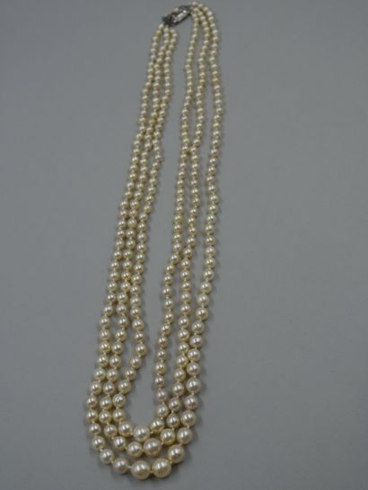 null Necklace of three rows of Japanese cultured pearls in fall - Silver clasp decorated...