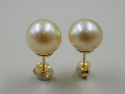 null ¨Pair of 18k yellow gold earrings adorned with South Sea Gold cultured pearls...