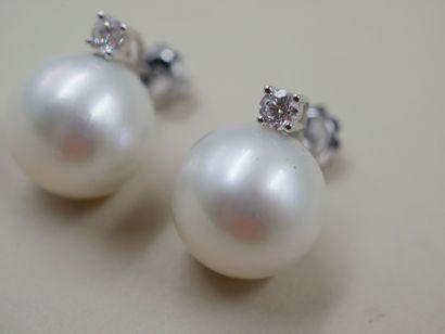 null Pair of 18k white gold earrings topped with a 15mm pearl and a diamond - PB...