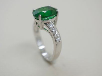 null Bague en or blanc 18k centrée d'un grenat tsavorite ovale de 5,20cts accostée...