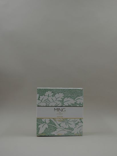 null DYNASTY « Ming » Très rare flacon en porcelaine décor de feuillages sur les...