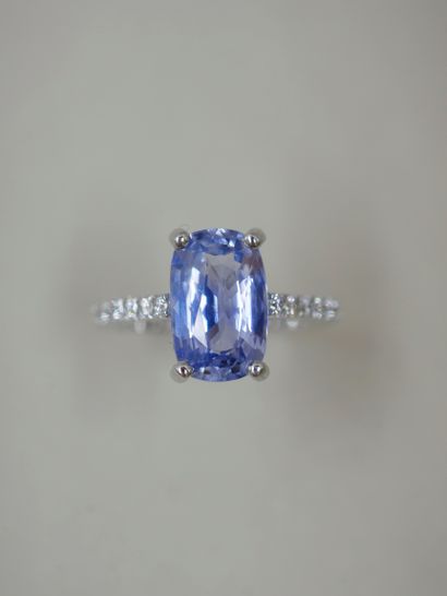 null 18k white gold ring with a 3.50cts cushion cut sapphire set with diamonds -...