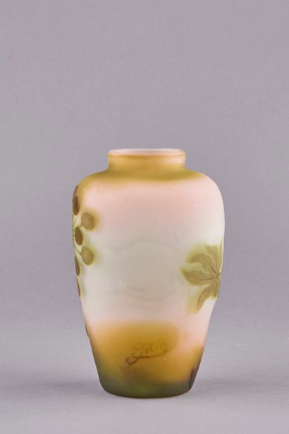 null 
Emile GALLÉ (1846-1904). Vase ovoïde en verre multicouche à décor dégagé à...