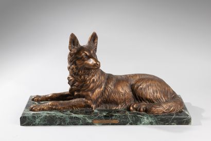 null Demeter CHIPARUS ( 1886-1947). Police dog. Chased bronze with a golden patina....