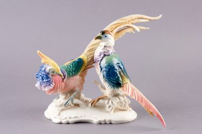 null SAXE, Manufacture of Karl ENS. Couple of pheasants in polychrome porcelain....