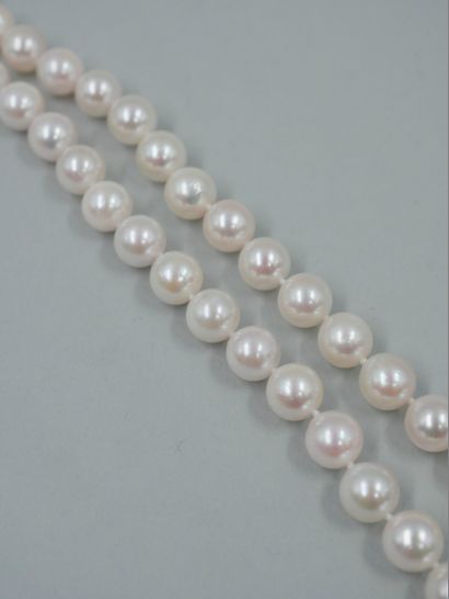 null Collier de cinquante-trois perles de culture Akoya du Japon d'un diamètre de7,5/8mm....
