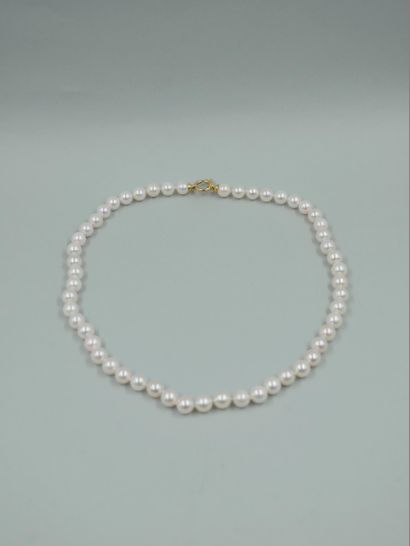 null Collier de cinquante-trois perles de culture Akoya du Japon d'un diamètre de7,5/8mm....