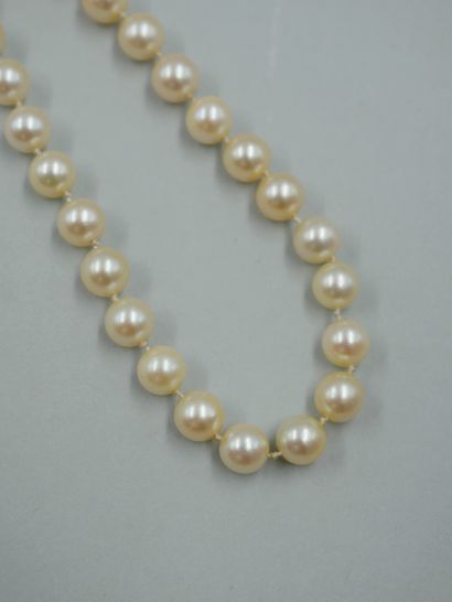 null Long sautoir de perles de culture chocker - Diamètre des perles : 7mm - Longueur...