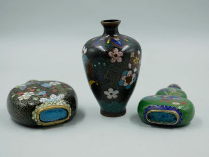 null CHINA. Two snuffboxes in cloisonné bronze and polychrome enamels decorated with...