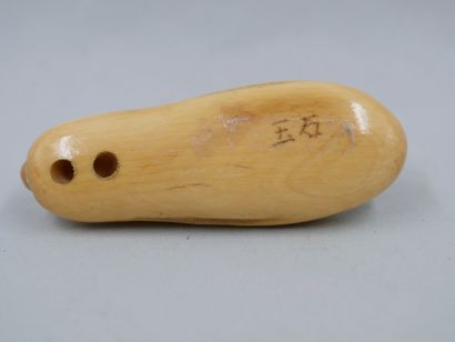 null Ivory Netsuke, Cricket. Height 2cm - Length 5,5cm. Signature on the stamp. ...