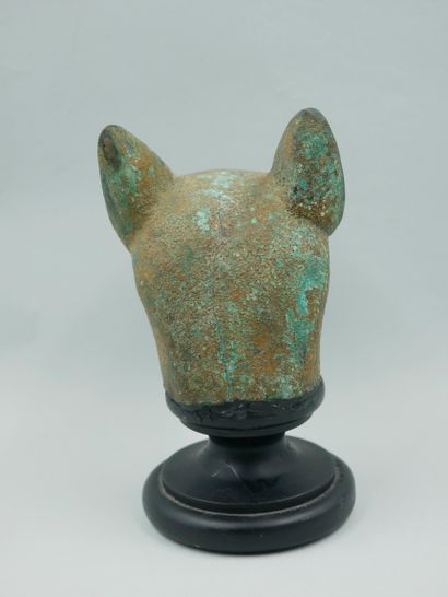 null Tête de chat probablement de la Déesse Bastet. Bronze. Style Saïte. L:env11...
