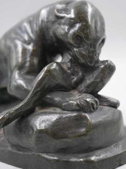 null BARYE after, Lioness devouring a hare. Proof in bronze with brown patina. Signed...