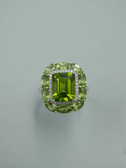 null 18K white gold ring set with an emerald-cut peridot of 4cts in a double setting...