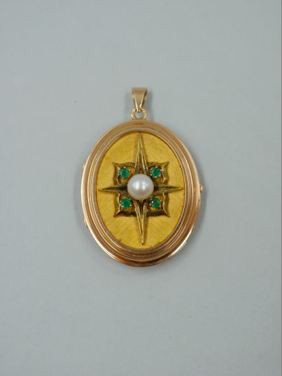 Medallion pendant in 18k yellow gold with...