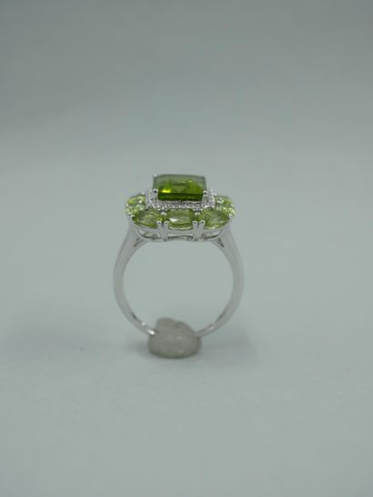 null 18K white gold ring set with an emerald-cut peridot of 4cts in a double setting...