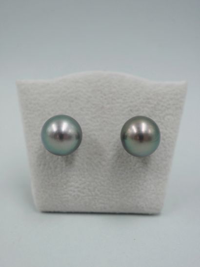 null Pair of 18k white gold earrings set with superb Tahitian pearls of 10mm diameter...