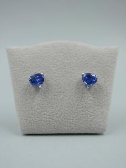 null Pair of 18K white gold earrings each set with a troïdia sapphire for a total...