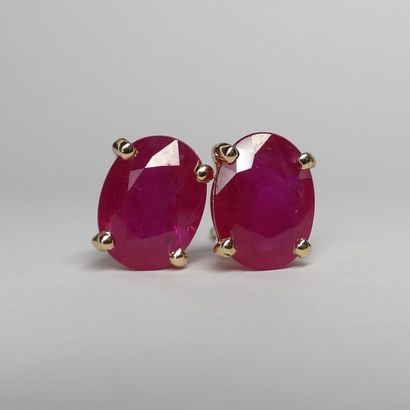 null Pair of 18K yellow gold earrings set with oval rubies weighing 3cts in total...