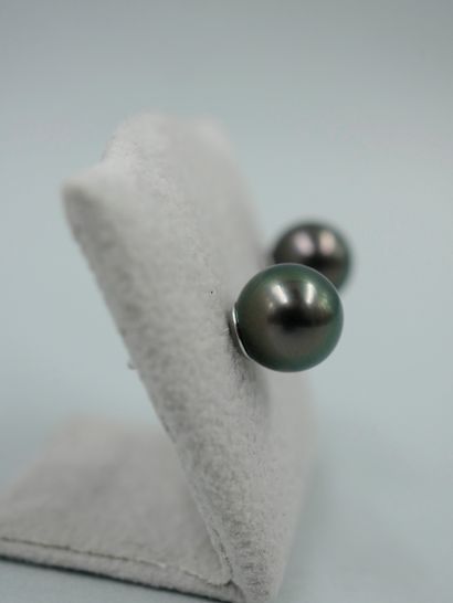 null Pair of 18K white gold earrings each set with a Tahitian cultured pearl of about...
