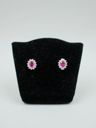 null Pair of Pompadour earrings in 18K white gold with a ruby in the centre, set...