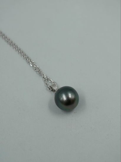 null Silver pendant holding a large grey Tahitian pearl of 13mm diameter. Accompanied...