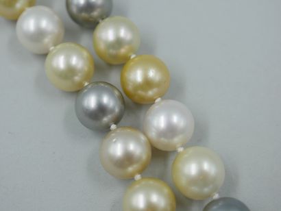null Necklace made of grey Tahitian pearls, white, pink and gold cultured pearls....