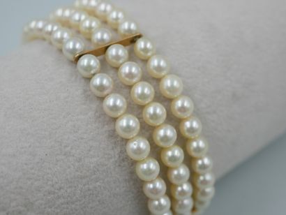 null Bracelet en or jaune 18k à trois rangs de perles de cultures blanches. PB :...