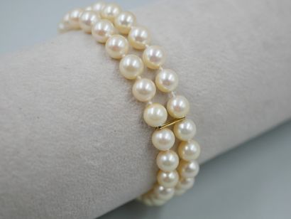 null 18k yellow gold bracelet with two rows of cultured pearls. Yellow gold clasp...