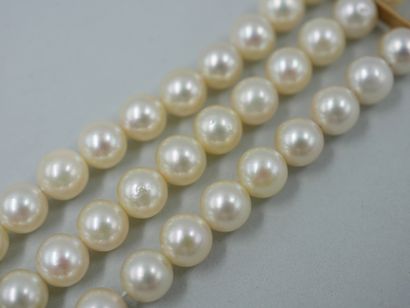 null Bracelet en or jaune 18k à trois rangs de perles de cultures blanches. PB :...