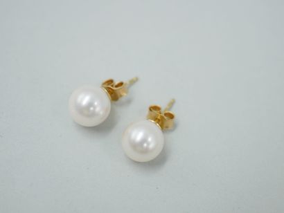 null Pair of 18k yellow gold earrings set with Japanese Akoya cultured pearls. PB...