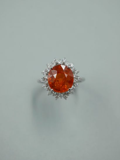 null An 18K white gold Pompadour ring set with a 5ct spessartite garnet in a diamond...