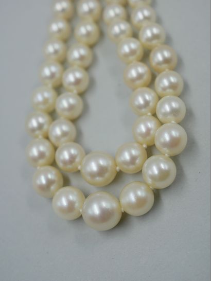 null Pearl necklace with two rows. Clasp and safety chain. PB 38,70 gr.